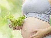 泰国袖珍人做试管婴儿需要花费多少钱？