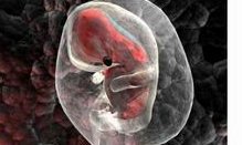 各国第三代试管婴儿多少钱？