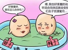 北京协和医院2026年试管婴儿成功率高不高？附最新试管成功率