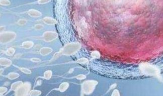 试管婴儿治疗全程费用概览，了解一次完整周期的总花销