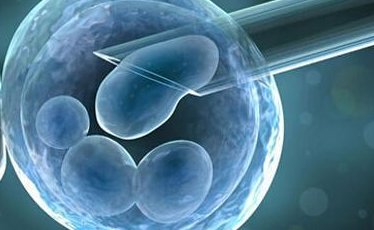 2026年厦门有没有做三代试管婴儿医院